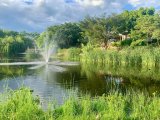 Plettenberg Bay wellness farm nominated for international award