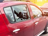 Cape Town smash-and-grab hotspots shift as criminals change modus operandi