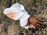 WATCH | Lifelike ‘human hands’ found near KZN school not real