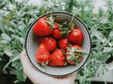 I Tried The 'Correct' Way To Eat Strawberries And I Regret To Inform You We're All Doing It Wrong