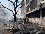 Air India Plane Crash: What We Know So Far As One Survivor Reported