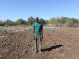 Farmers lament losses caused by elephants breaking out of Kruger park