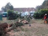 Investigation into tree-felling operation after gum tree falls on house