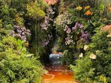 7 reasons to visit Stanford in Bloom, just 2 hours from Cape Town