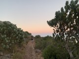Spring has sprung! Five easy Cape Town hiking routes to explore