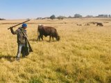 Concourt confirms stopping people from letting their cattle graze amounts to eviction