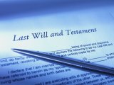 ANDRIES NEL | Wills week and the vision of a capable, ethical developmental state