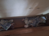 Cops bust suspect in Rondebult safe house with stained cash linked to CIT robbery