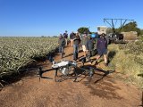AI takes Summerpride to new heights