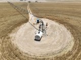 WATCH | Iraqi farmers use sprinklers to grow crops in desert