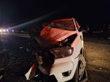 Two children and three adults die in head-on collision