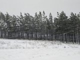 Snowfalls bring road closures in KZN