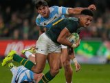 Sacha Feinberg-Mngomezulu reveals a Springboks legend who blows him away