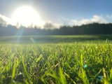 Sunny skies with cloud spread expected in Gauteng