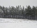News24 | N2 highway closed ‘to save lives’ amid snowfall in KZN, Eastern Cape