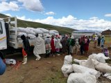 Lesotho’s outdated laws fail to protect threatened plant species