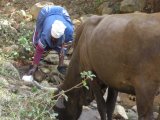 R1-billion Limpopo water project stalled, leaving villagers in the lurch