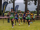 Forest Run in George a fair challenge with a scenic twist