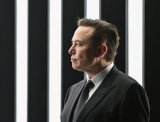 Yes or no? Elon Musk reacts to 13th child with 26-year-old claim