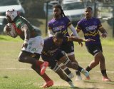 Gardens braced for Gold Cup's clash of giants, says Johnson