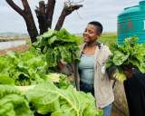 Woman thrives in farming after failing matric