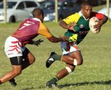 Rampant Gardens and Quins sparkle in Grand Challenge