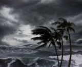Coastal warnings for rough seas in KwaZulu-Natal