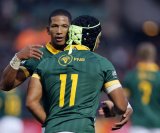 Springboks (EXITS) – Full list: Boks heading out!