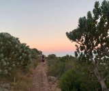 You can explore five easy hiking routes in Cape Town this spring