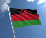 ‘Where are their papers?’ — Malawian march in Johannesburg sparks outcry