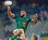Tshituka to make Test debut for Springboks against Italy