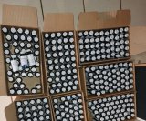 Zimbabwean national arrested for illegal possession of medication