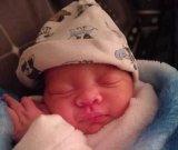 News24 | ‘I just want my baby back’ - Cape Town mom pleads for safe return of abducted (…)