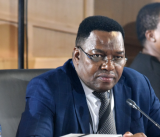 WATCH LIVE | General Fannie Masemola appears before parliament's ad hoc committee
