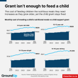 Child Support Grant cannot feed a child