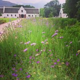 La Motte’s gardens respect its 300-year-old roots