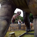 Nelson Mandela Bay set to freeze over with animatronic Ice Age exhibition