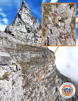 How quick thinking led to the rescue of two stranded hikers on Table Mountain