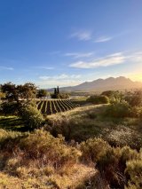 VINE TIME | Learning new stuff in a fun experience at The Wine Shed