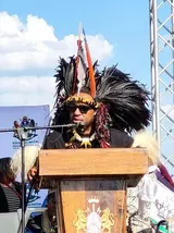 Why ANC won't back Zulu king's call to rename KwaZulu-Natal