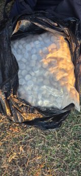 Eastern Cape police intercept suspected drug dealer
