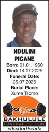 NDULINI PICANE