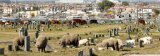 Cemeteries becoming no-go zones for Nelson Mandela Bay mourners