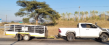 Police arrest man with R8m in dagga in trailer