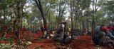 Guns, gangs and gold: The battle for Zambia’s riches