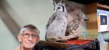 OFF TRACK | Broken owls tell story of human folly and cruelty