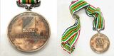 Springbok World Cup winner’s medal sold on auction
