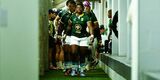 SA Rugby pay tribute to rugby star who died at 29