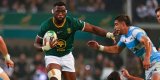 Springboks: When team will be named, kick off time at Twickenham