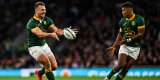 Is this how the Springbok team will look for next Italy Test?